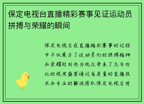 保定电视台直播精彩赛事见证运动员拼搏与荣耀的瞬间